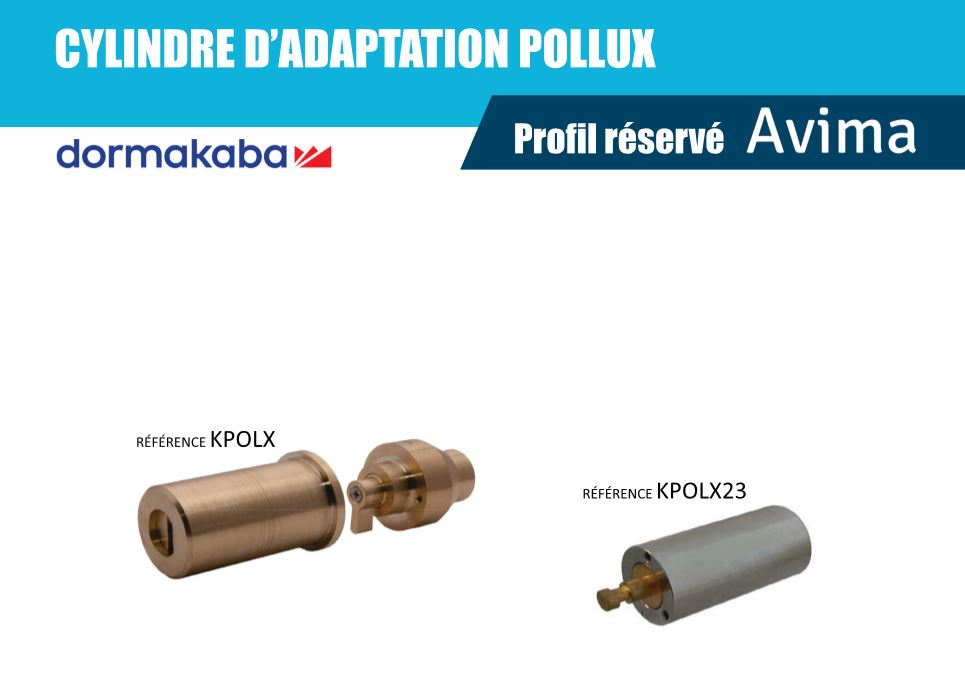 Profile AVIMA d’adaptation POLLUX 1